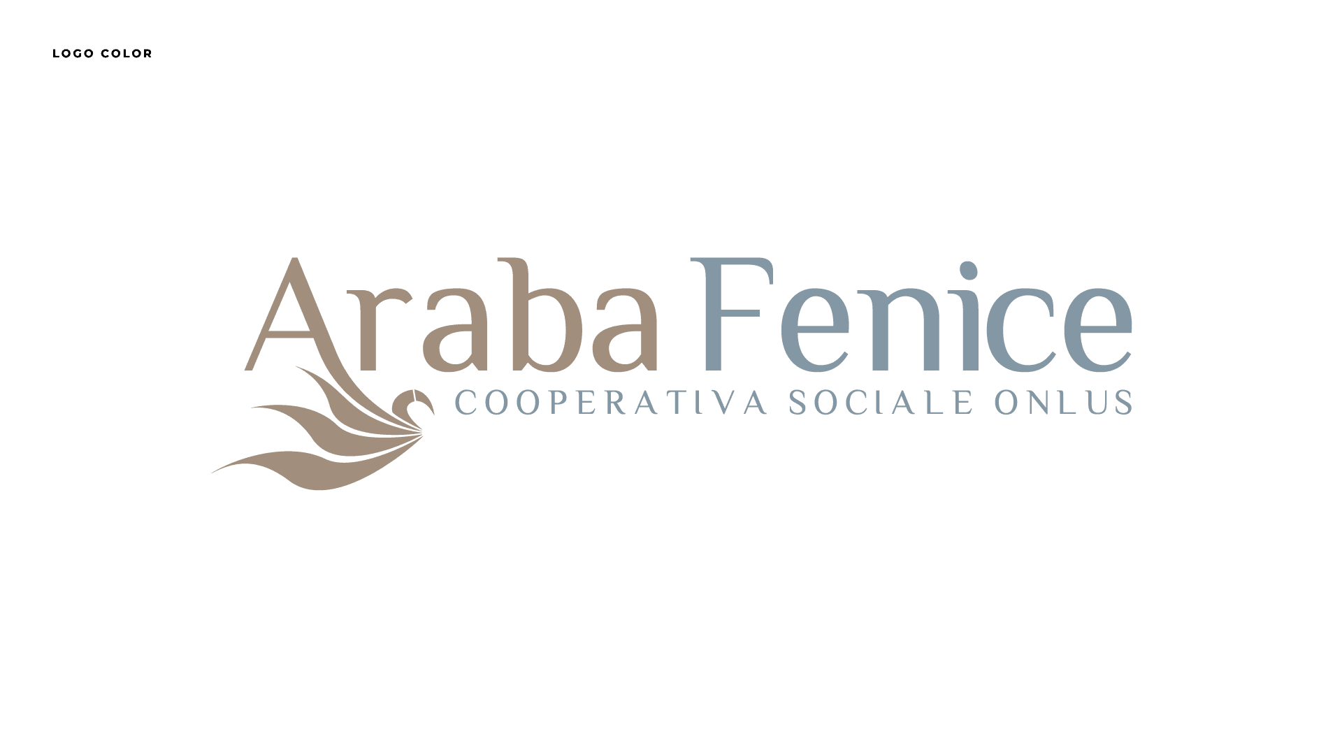 logo color cooperativa araba fenice_1